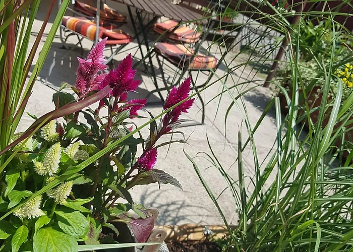 ホテル 